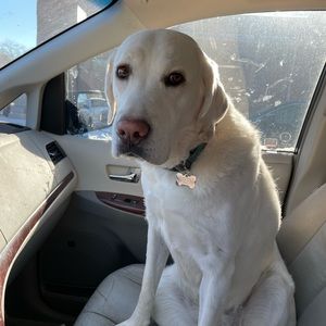 Meet your Posher, Joanna